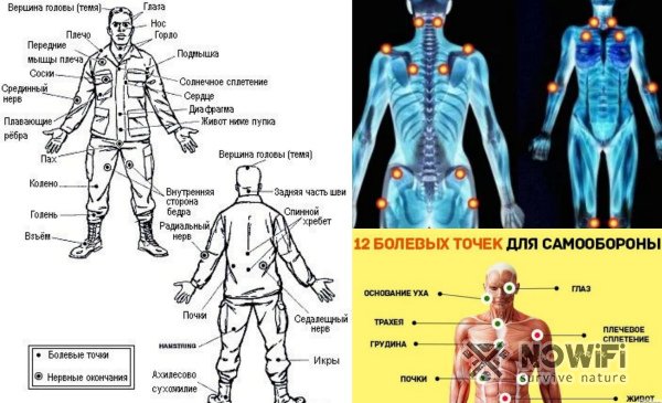 Человеческие болевые точки и их влияние