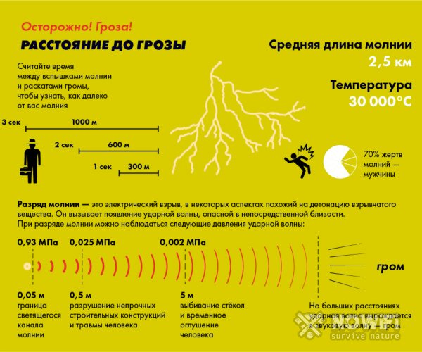 Time Action: краткое руководство