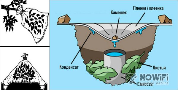 Как добыть воду в лесу