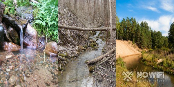 Как добыть воду в лесу