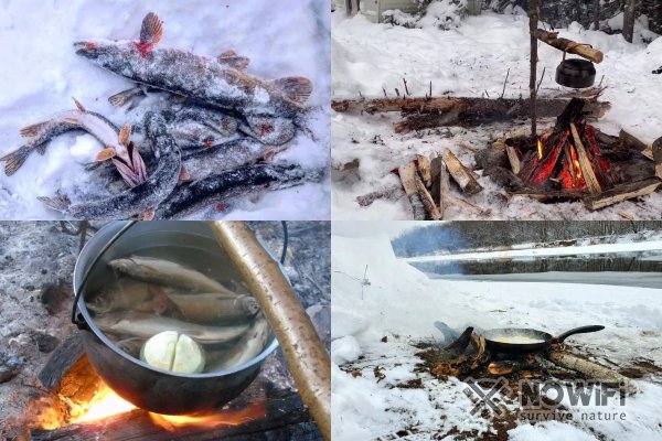 Как найти еду в лесу зимой