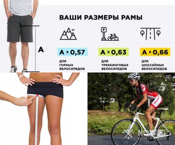 Как определить размер рамы велосипеда