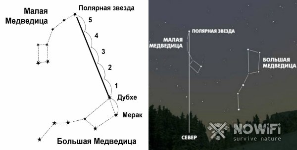 Как ориентироваться в лесу без компаса