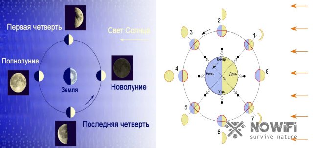 Как ориентироваться в лесу без компаса