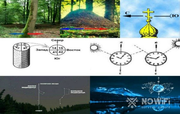Как ориентироваться в лесу без компаса