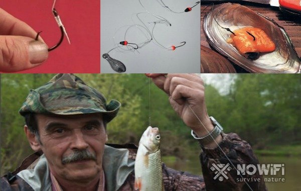 Как поймать рыбу без тростника: 11 лучших способов