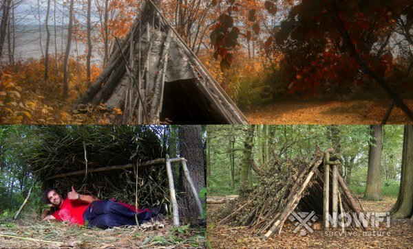 Как построить убежище в лесу