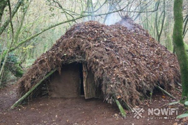 Как построить убежище в лесу