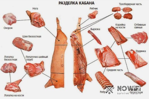 Как приготовить мясо кабана