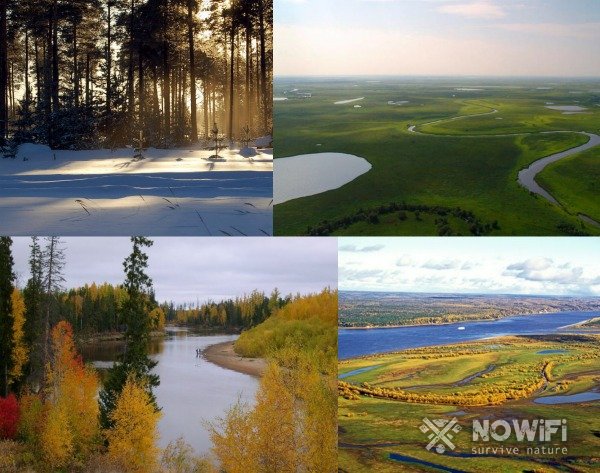 Климат Западной Сибири