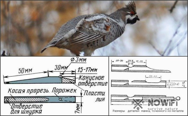Приманка для тетерева своими руками