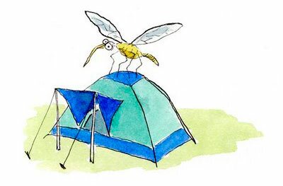 Палатка и комары