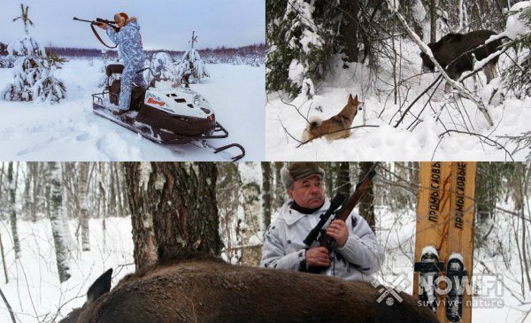 Зимняя охота на лося
