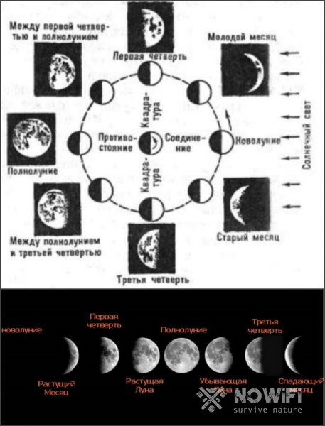 Лунная ориентация