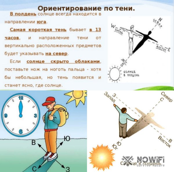 Местная ориентация