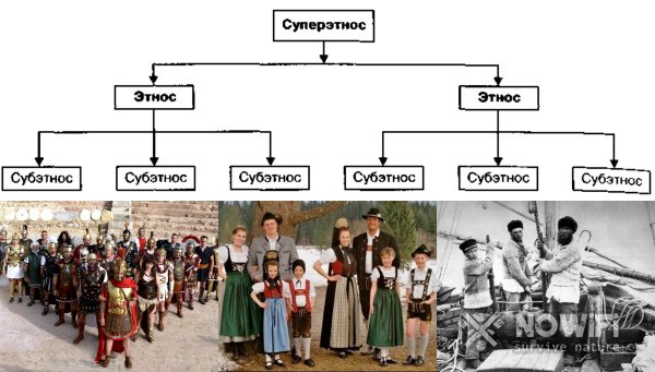 Страстная теория этногенеза