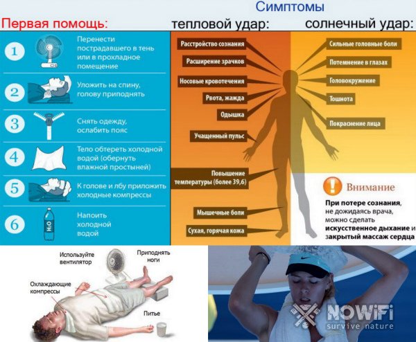 Поведение в экстремальных условиях жары (засуха)