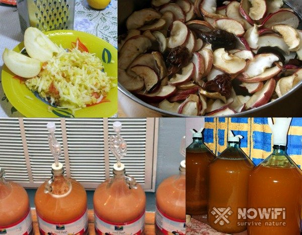 Яблочный самогон: рецепты и как приготовить