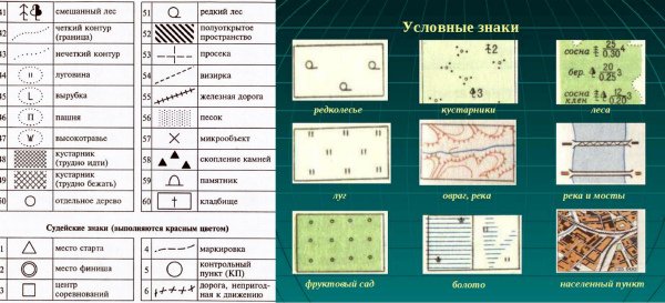 Условные обозначения на плане местности